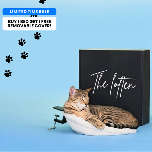 The Loften® Pet Hammock