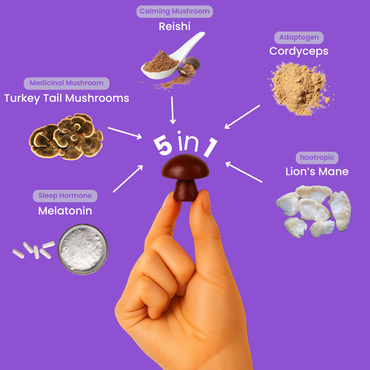 DreamOn Duo Sleep Gummies