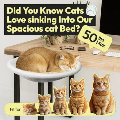 The Aurora™ Cat Hammock