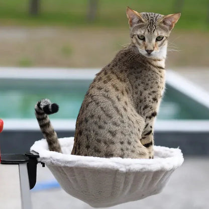 The Loften® Pet Hammock